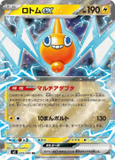 29-rotomex