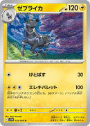 29-zebstrika