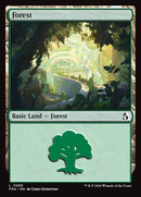 290-forest
