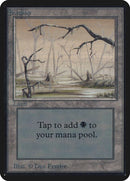 291-swamp
