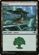 292-forest