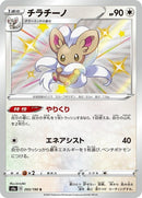 293-cinccino