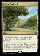 293-exoticorchard
