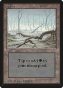 294-swamp