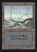 294-swamp