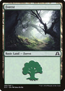 295-forest