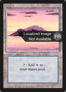 295-island