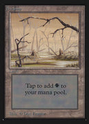 295-swamp
