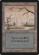 295-swamp
