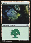 297-forest