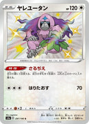 297-oranguru
