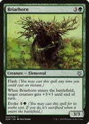 3-briarhorn