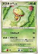 3-carnivine