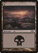 3-swamp