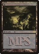 3-swamp
