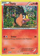 3-tepig