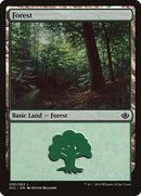 30-forest