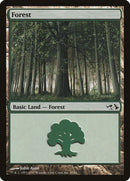 30-forest