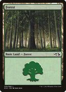 30-forest