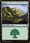 300-forest
