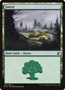 301-forest