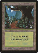 301-forest