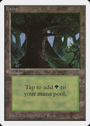 302-forest