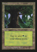 302-forest