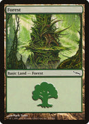 303-forest