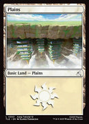 303-plains