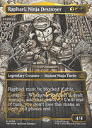 303-raphaelninjadestroyer