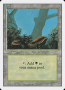 304-forest
