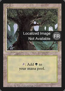 304-forest