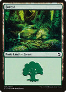 306-forest