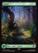 306-forest