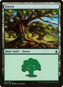 309-forest