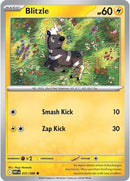31-blitzle