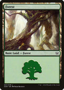 31-forest