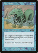 31-seasnidd