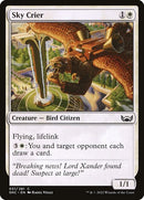 31-skycrier