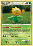 31-sunflora