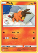 31-tepig