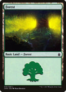 313-forest