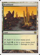 319-brushland