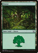 32-forest