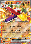32-skeledirgeex