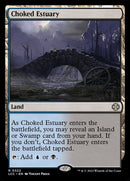 322-chokedestuary
