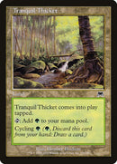326-tranquilthicket