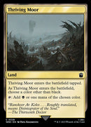 328-thrivingmoor