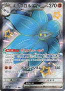329-glimmoraex